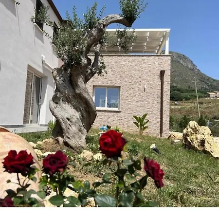 Miro Villa *